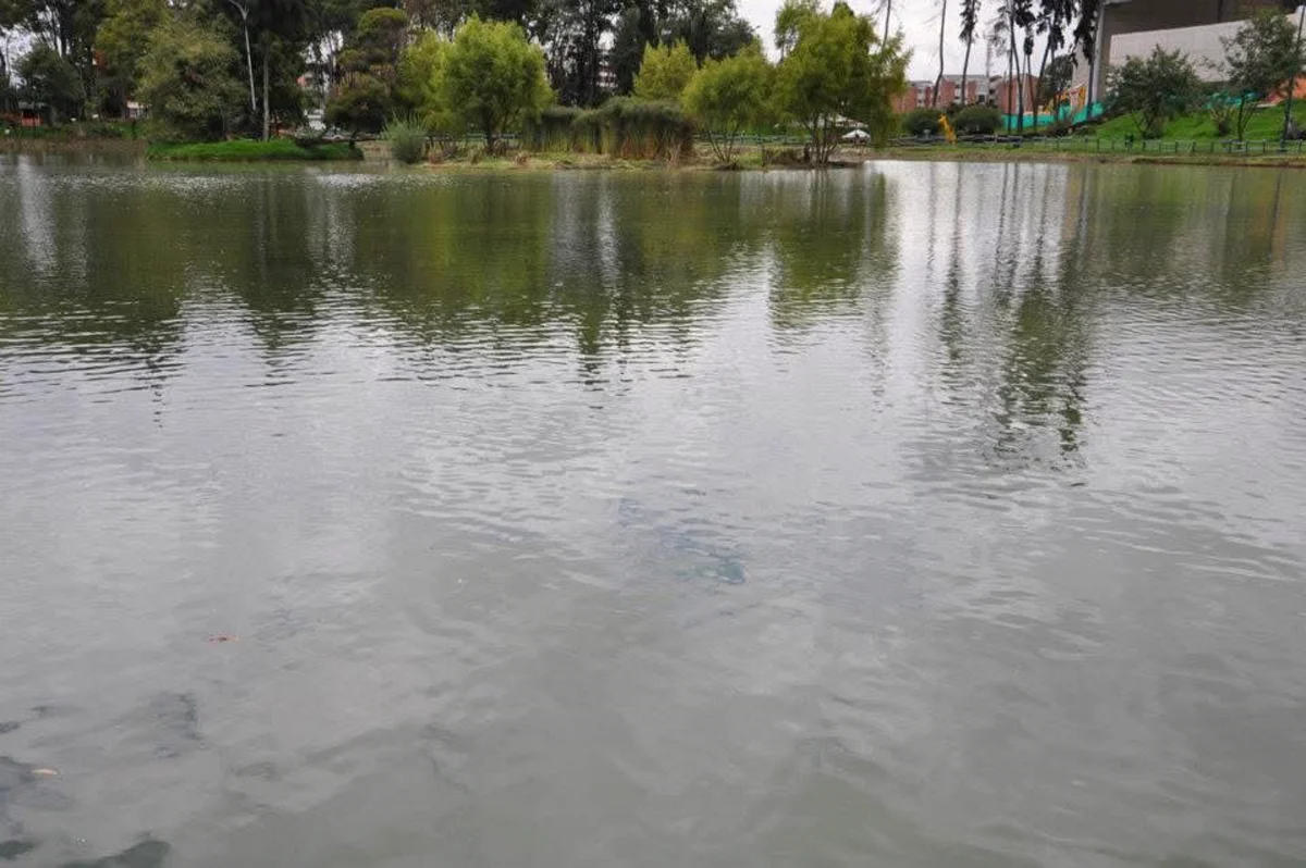 Boda en el Parque de los Novios Bogotá — lago y naturaleza